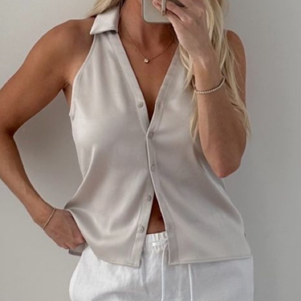 Aritzia Babaton Clockwork Satin Top (small)